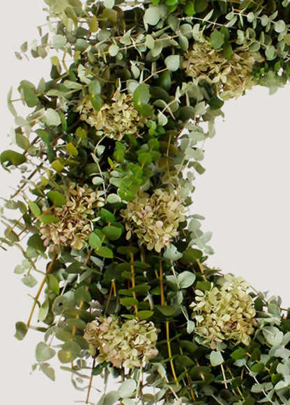 Dried wreath with eucalyptus leaves and small hydrangeas