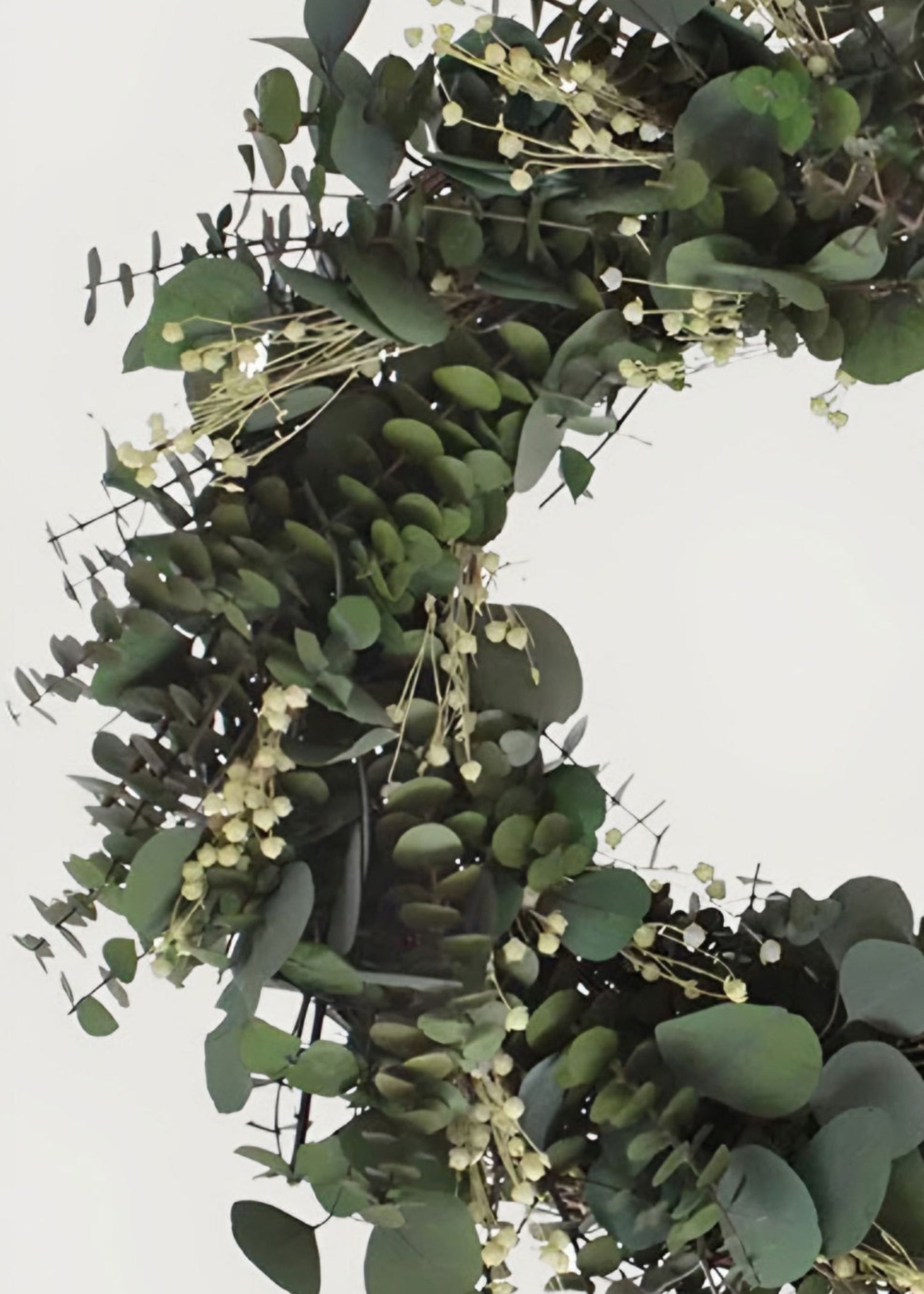 Close-up of preserved eucalyptus wreath