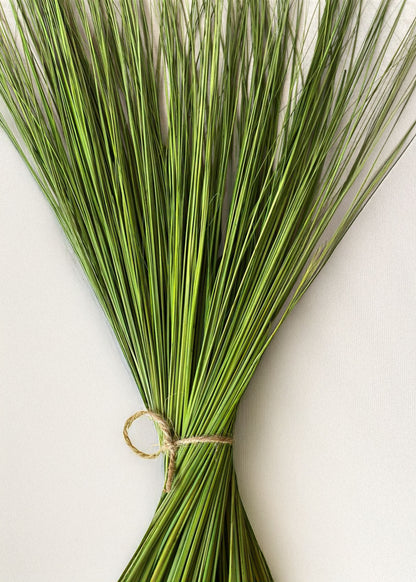 Green Dried Fountain Grass