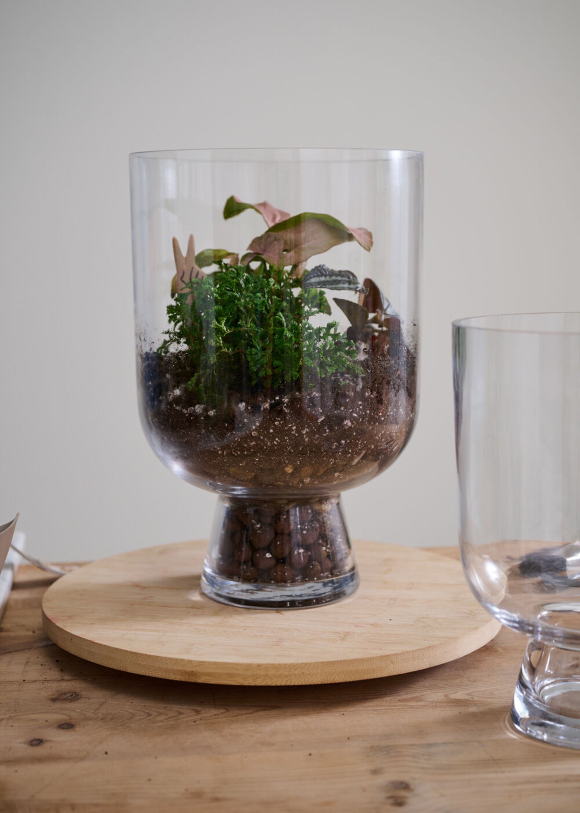 Clear Glass Terrarium Vase with Greenery