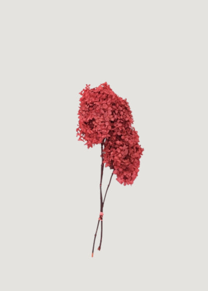 Flower Bundle of 3 Red Preserved Hydrangea Stems