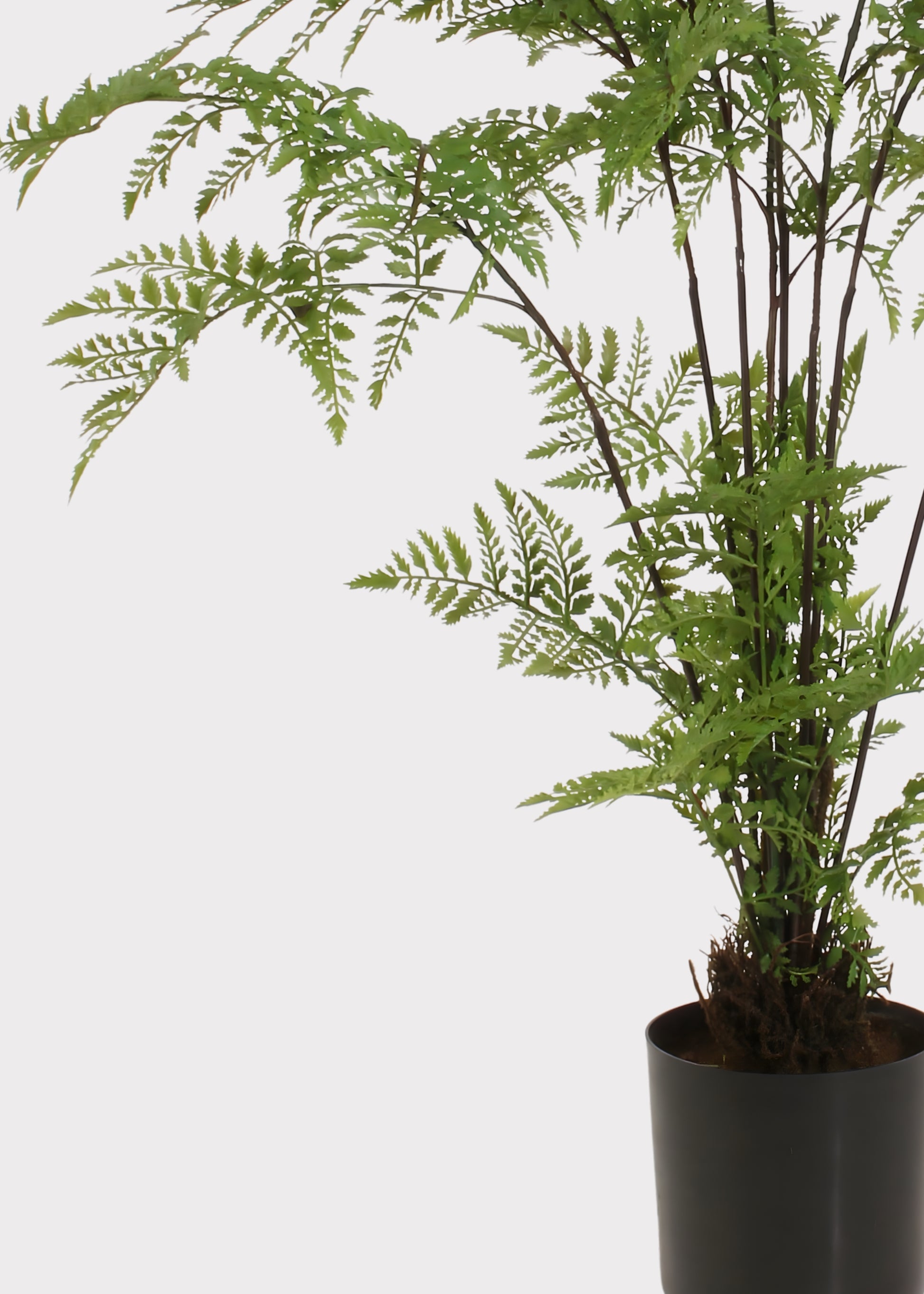 Close-up of potted faux fern