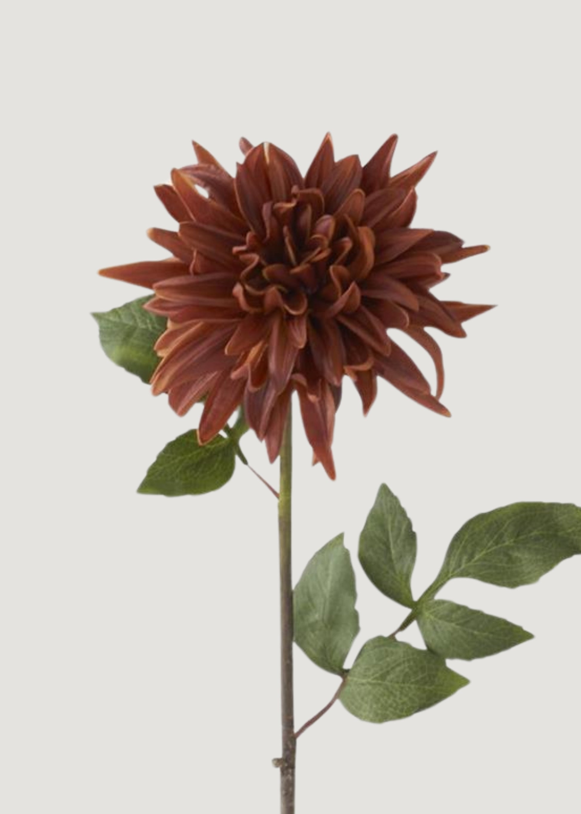 Brown Real Touch Dahlia 