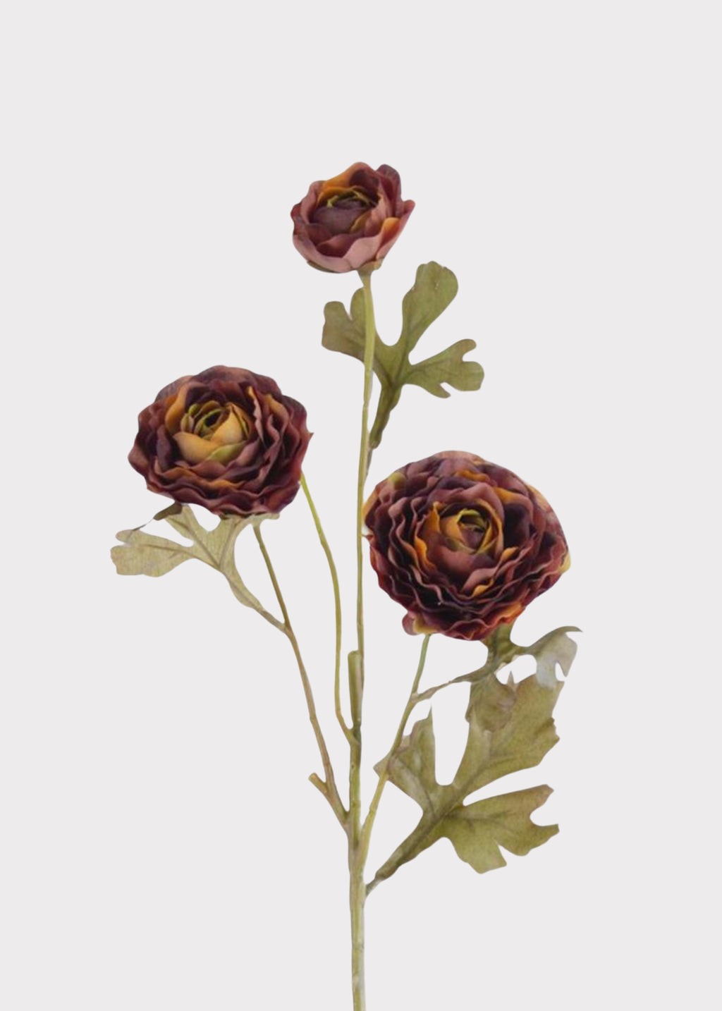 Close-up of Plum and Orange Artificial Ranunculus
