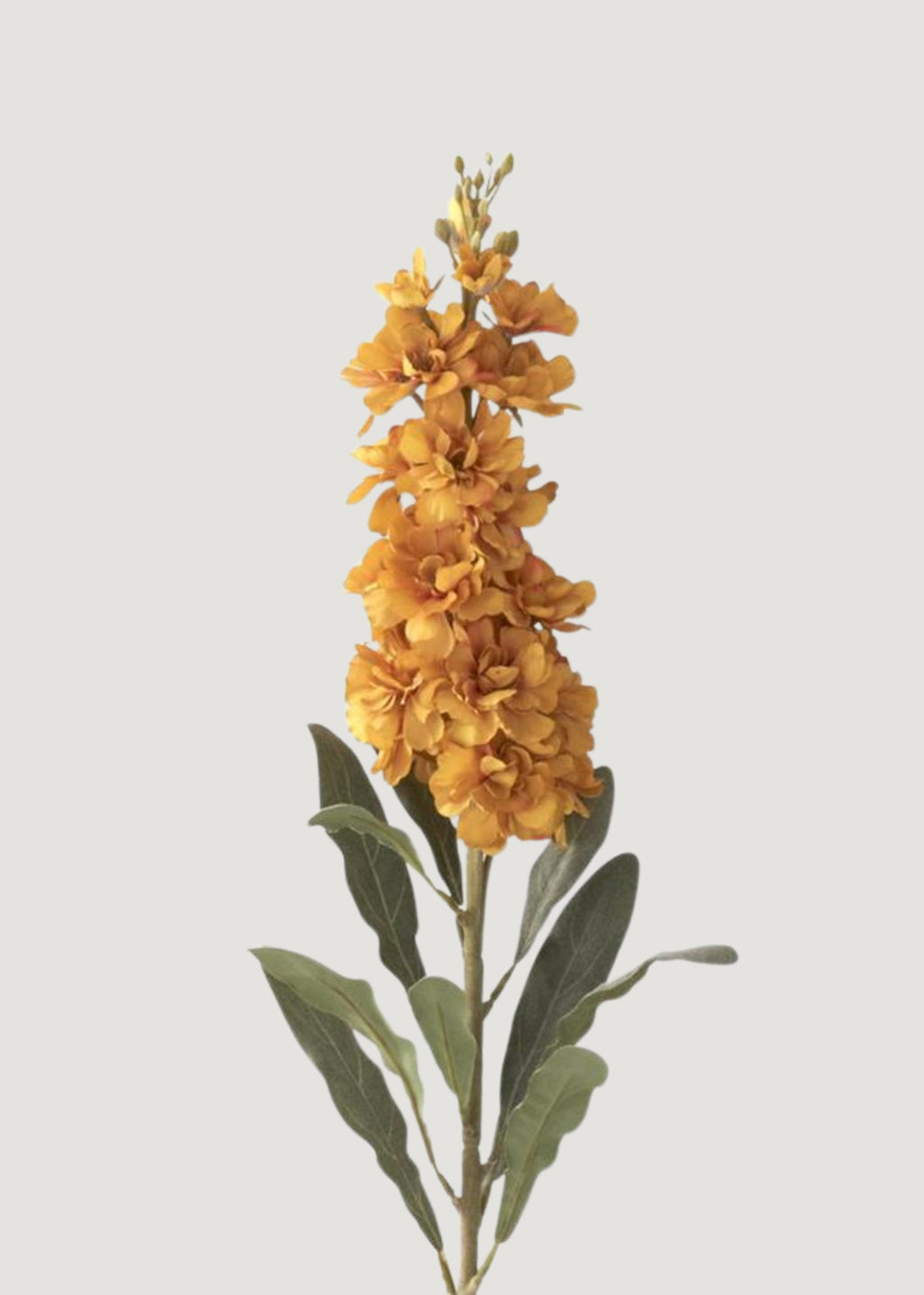 Close-up of Artificial Stock Flower in Golden Yellow