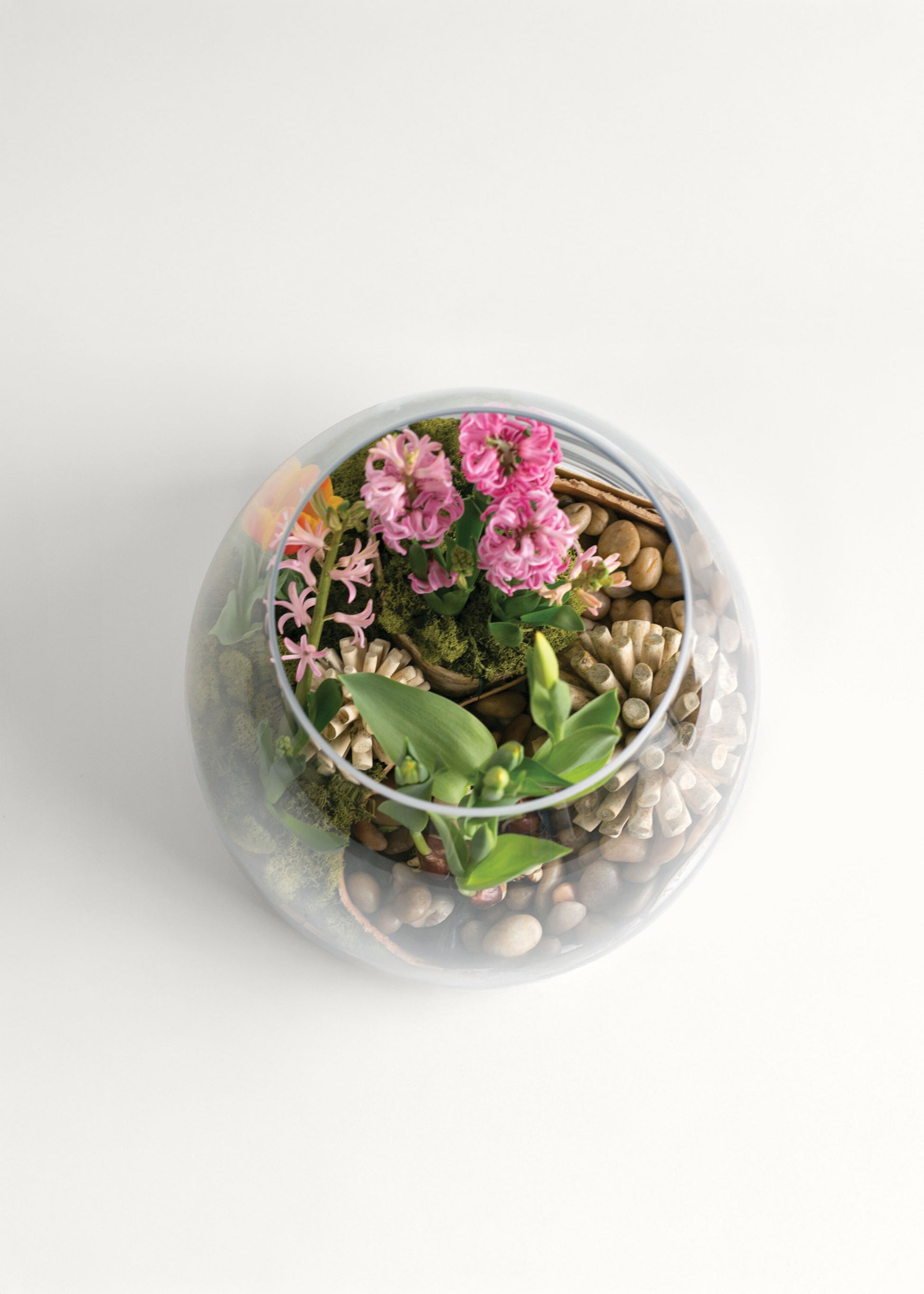 glass terrarium with pink flowers and green plants