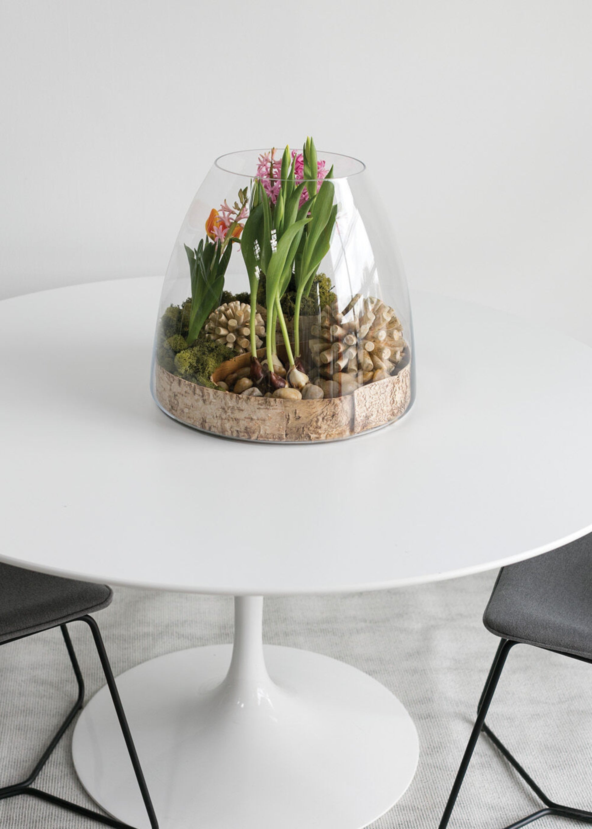 Terrarium with plants on a white table