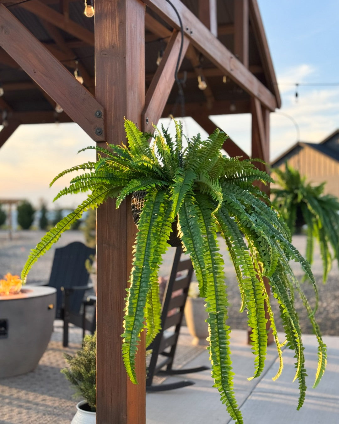 social post by afloral