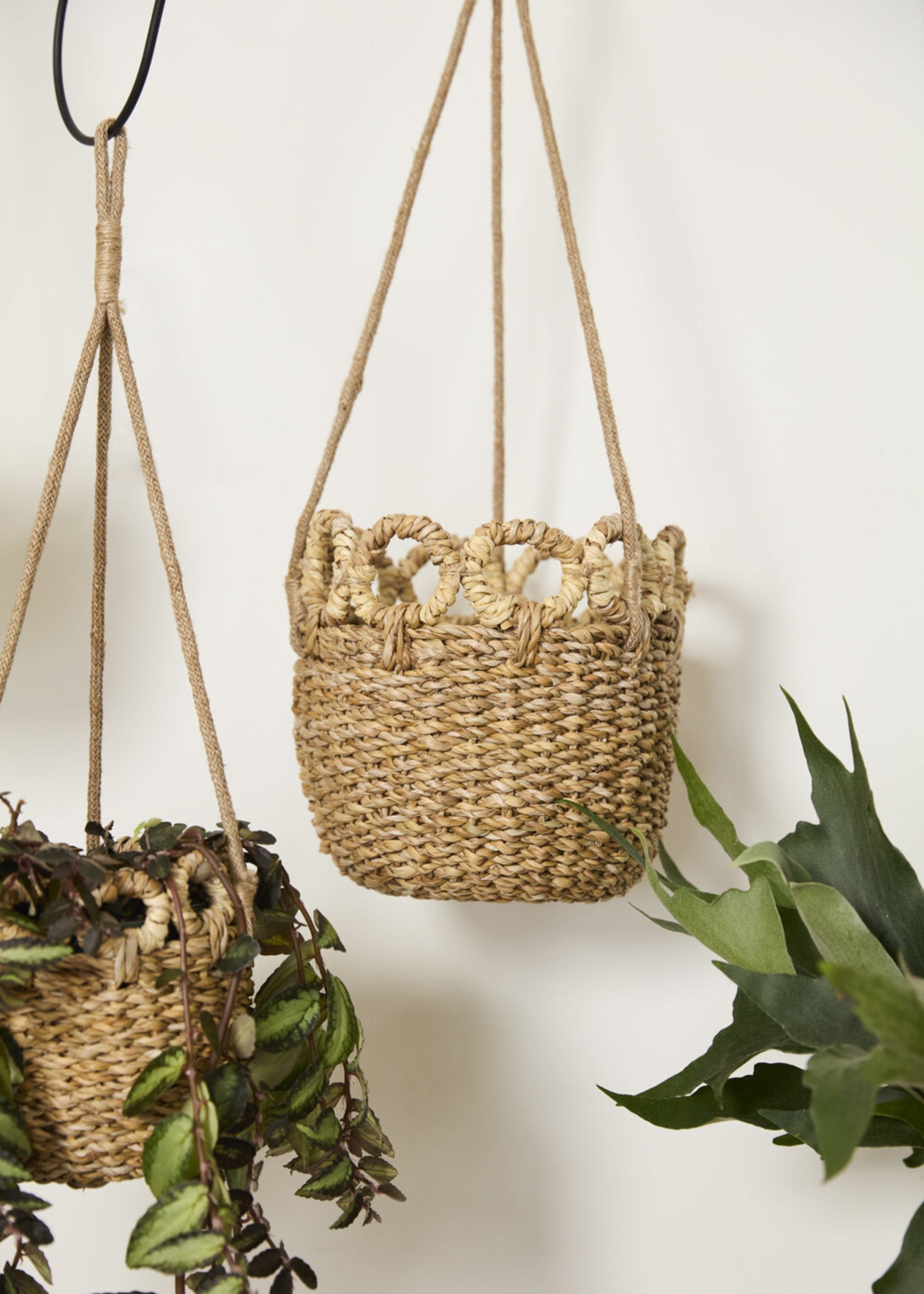 hanging seagrass baskets with plants