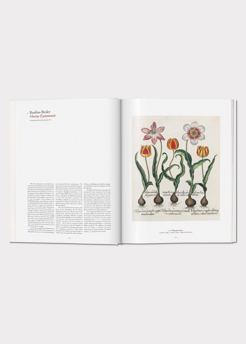 Open book, A Garden Eden, with illustrations of flowers