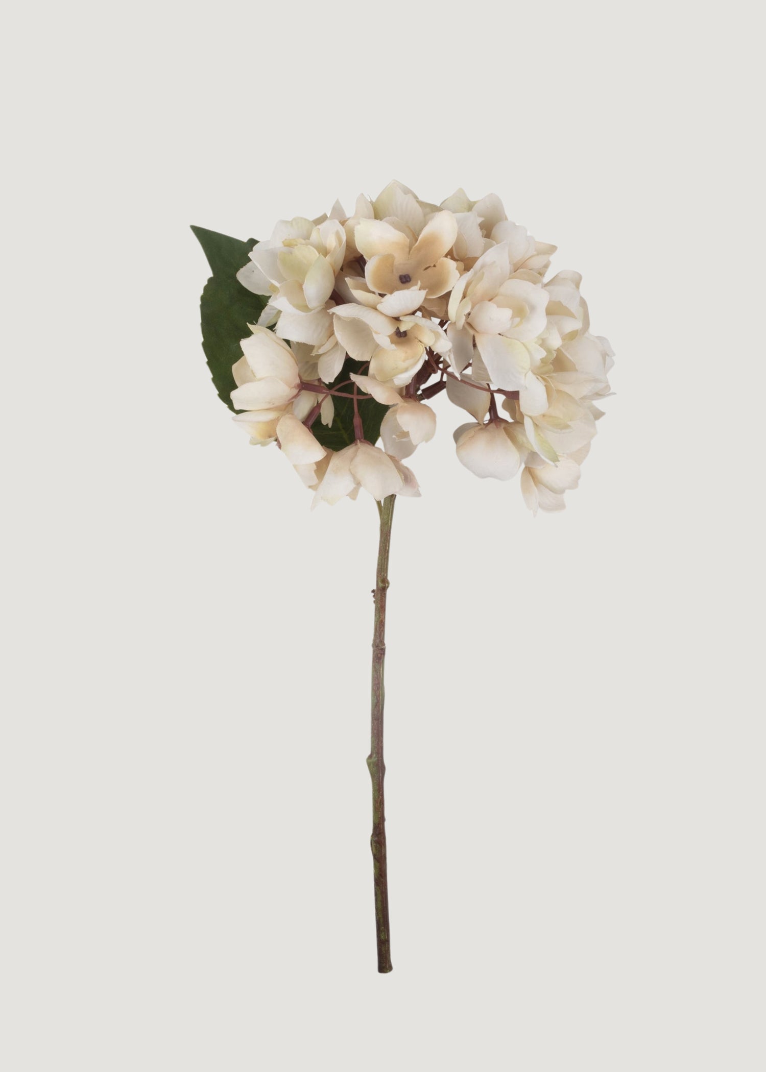  Hydrangea Fake Flower in Beige