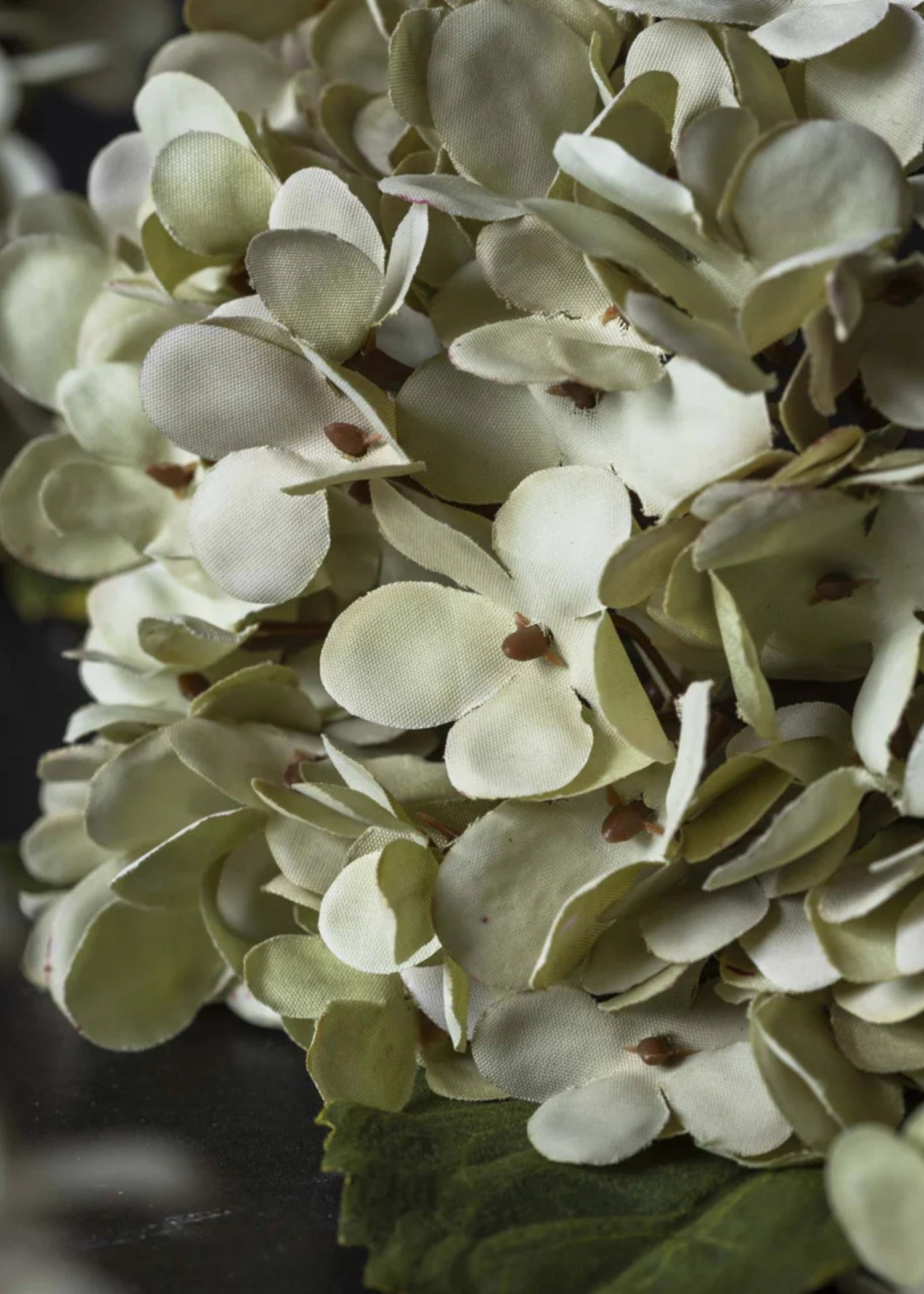 close-up of soft green fake hydrangeas