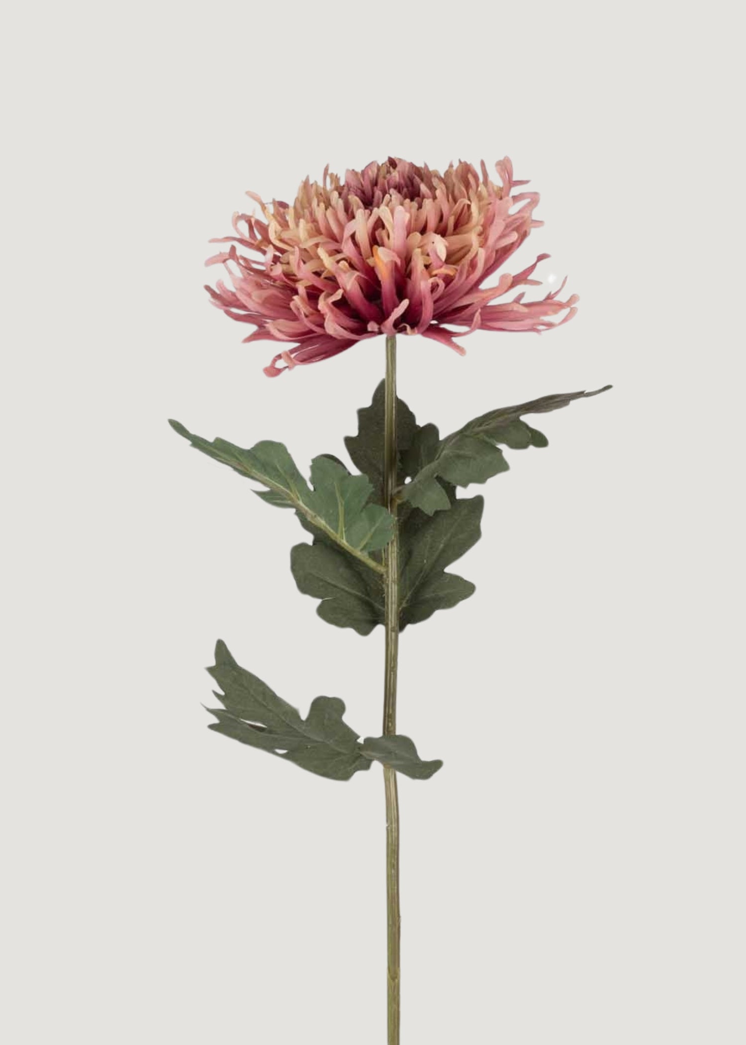 Fake Chrysanthemum Flower