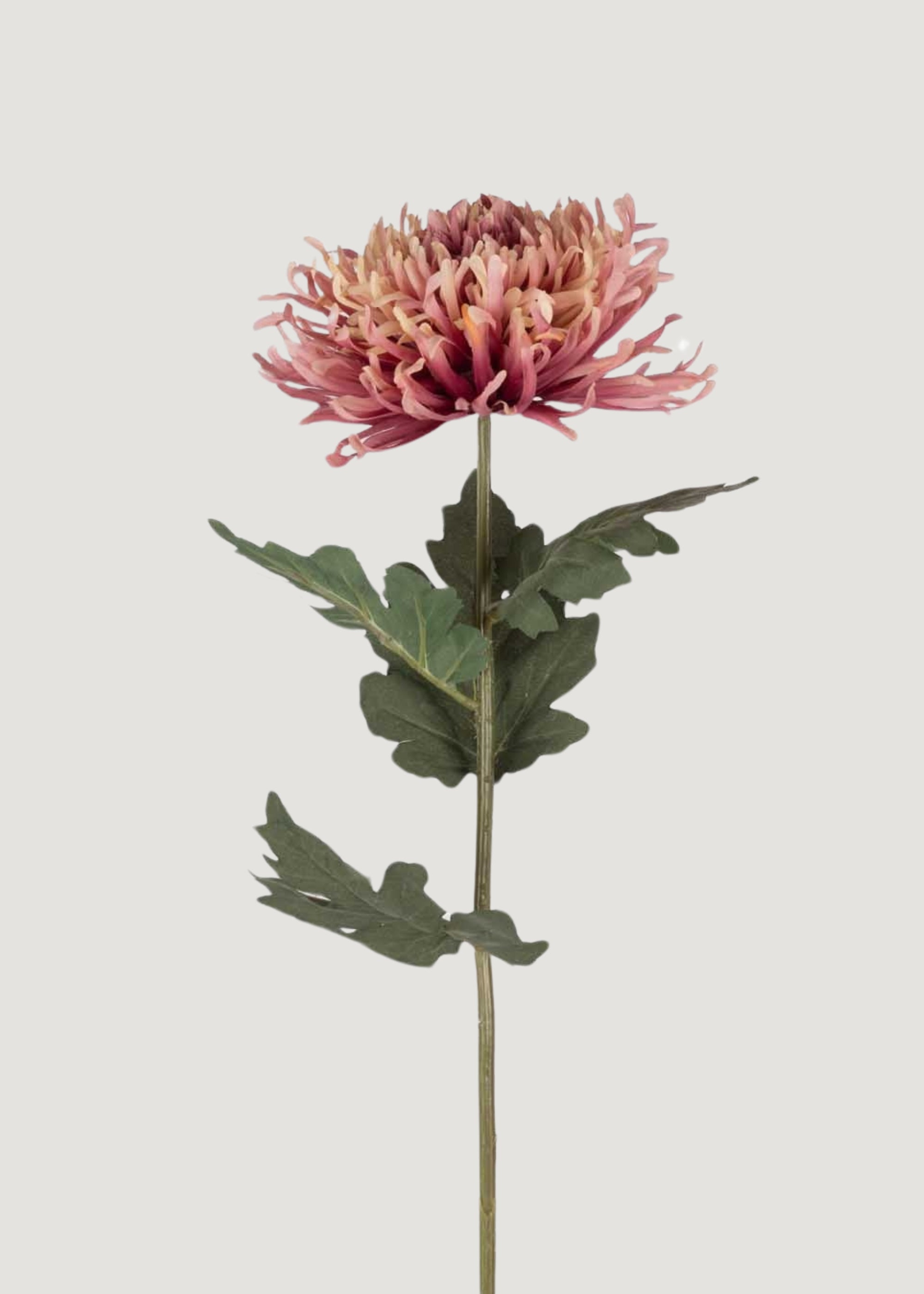 Fake Chrysanthemum Flower