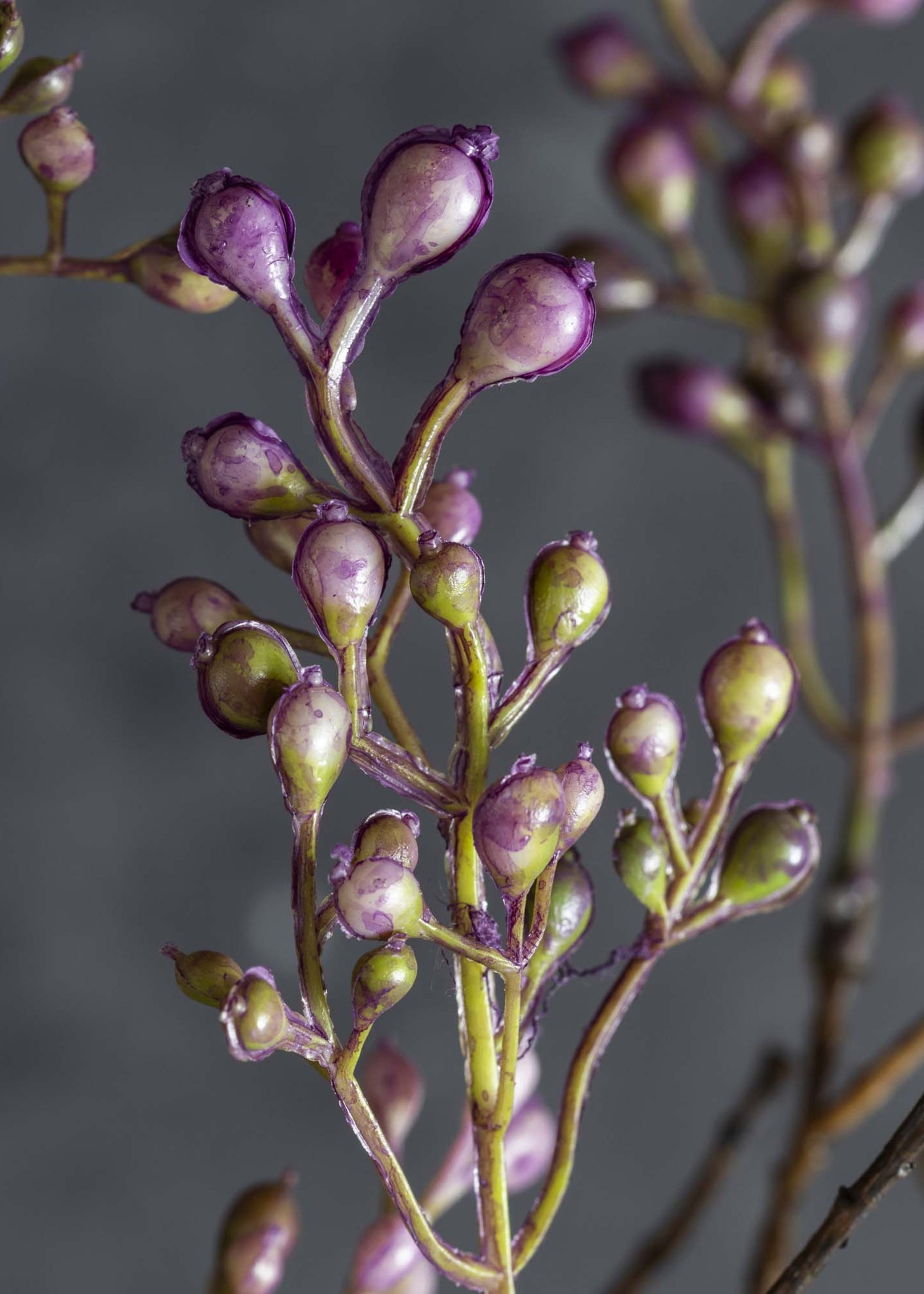close-up of fake purple berries