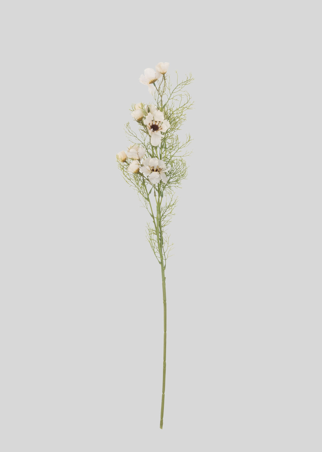 Artificial Cosmos Flower Branch in Cream