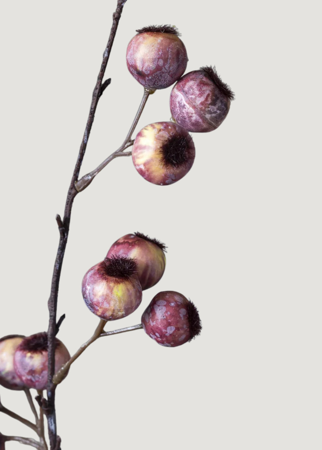 close-up of pink hawthorn berries 