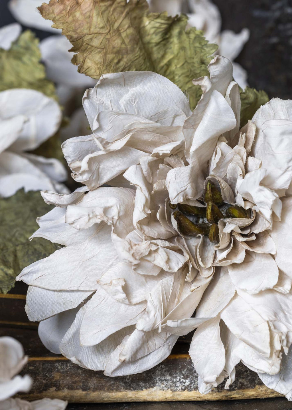 Close-up of beige silk dahlia