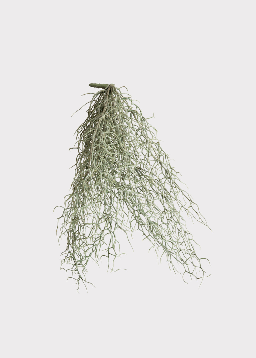 artificial hanging spanish moss