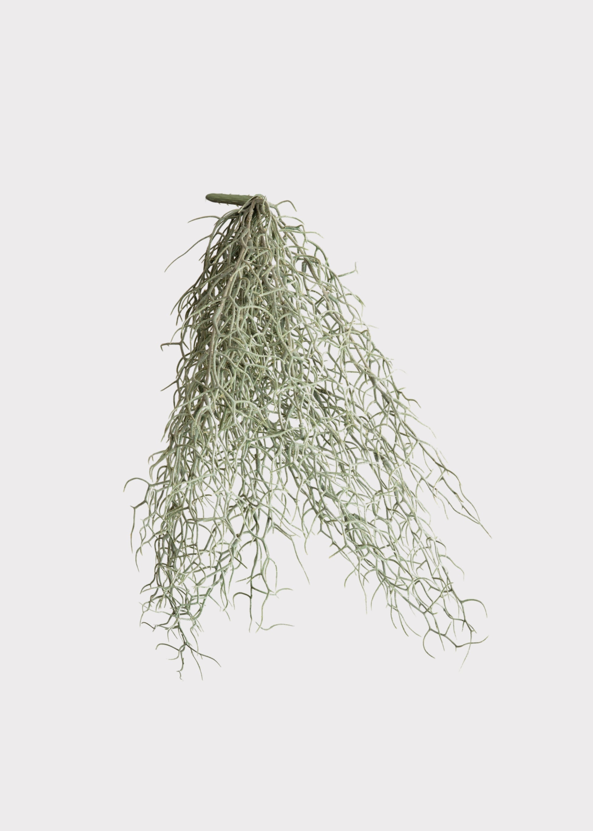artificial hanging spanish moss