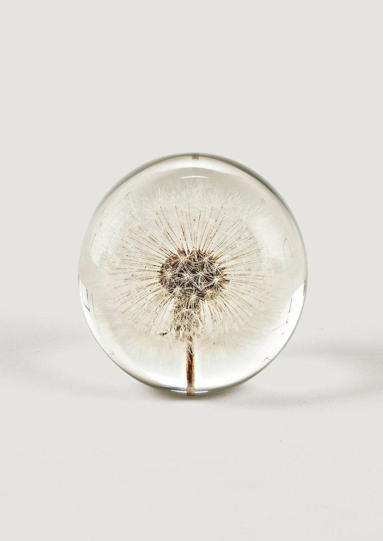 Dandelion Paperweight | Table Decor at Afloral.com