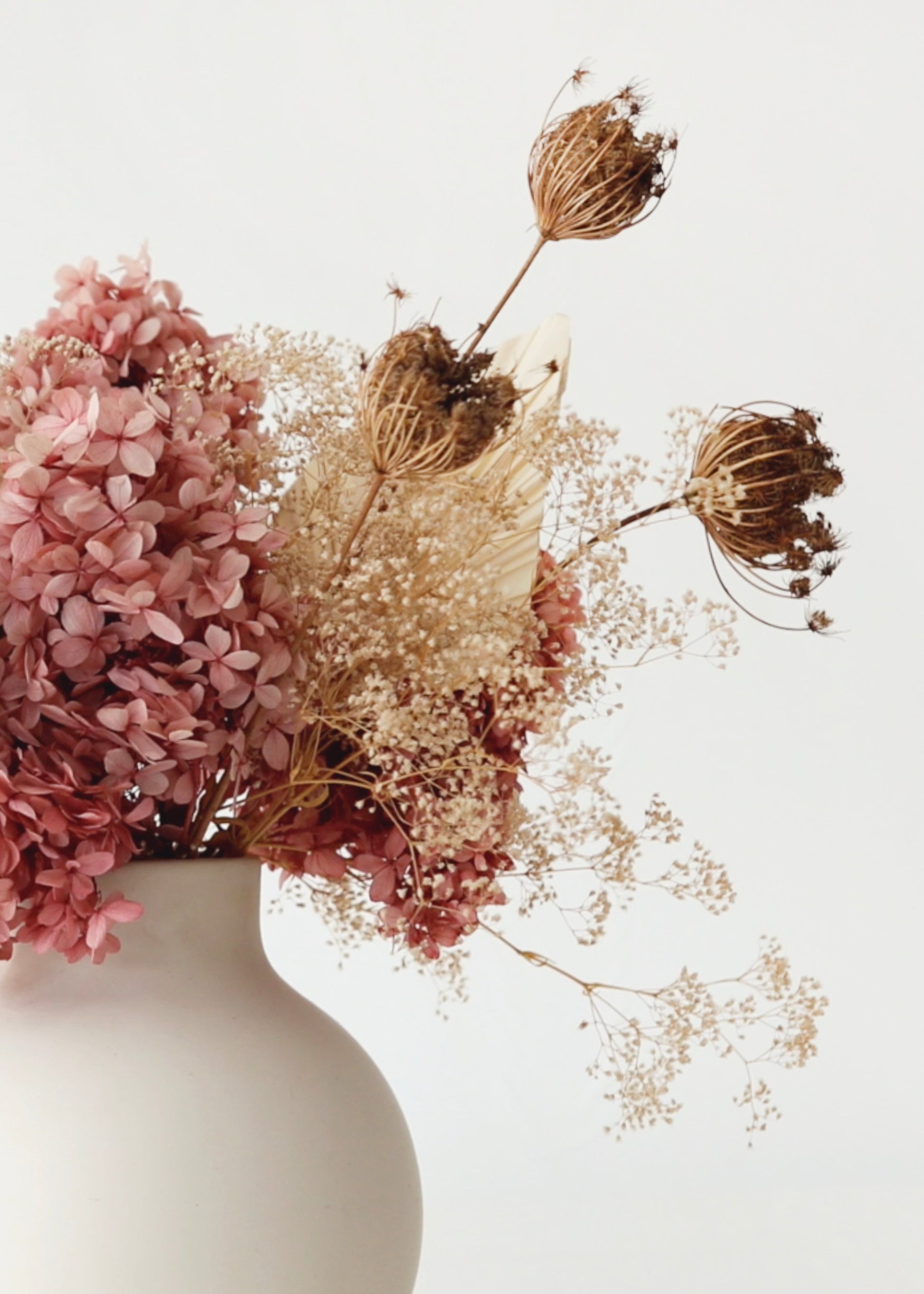 close-up of dried queen anne's lace and hydrangeas