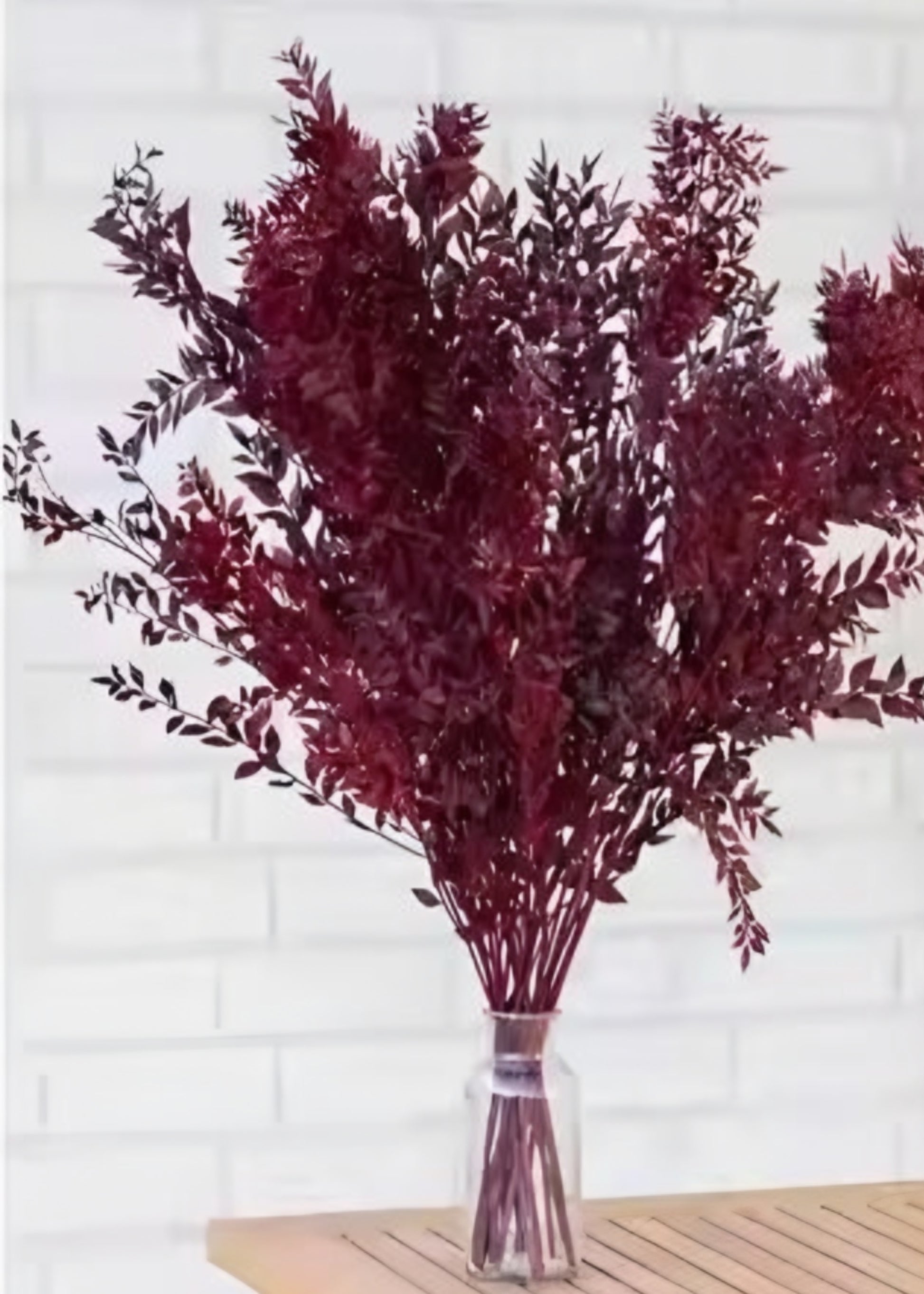Burgundy Preserved Ruscus in Vase