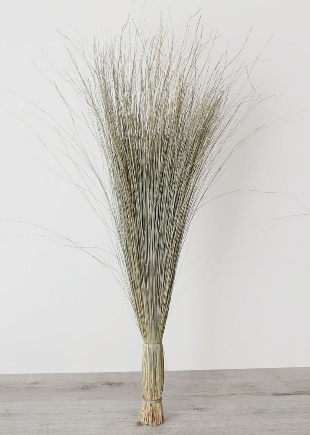 Afloral Natural Green Dune Grass Preserved