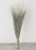 Afloral Natural Green Dune Grass Preserved