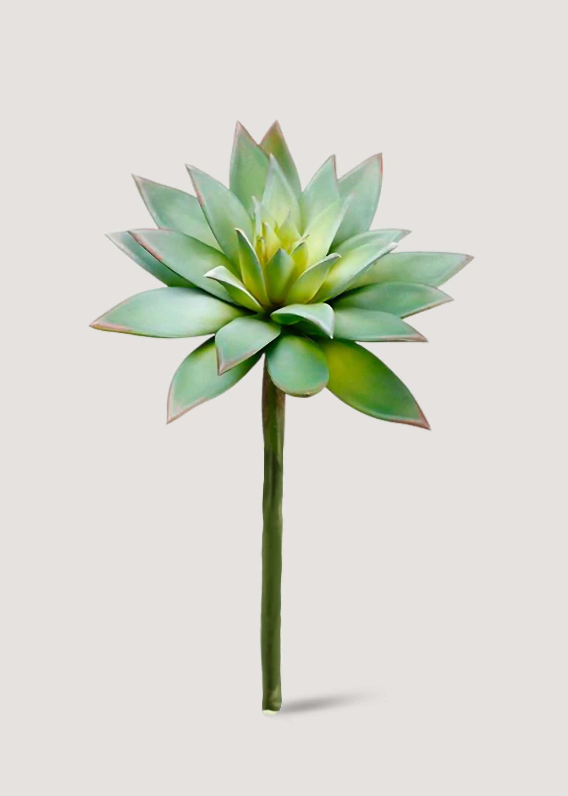 are succulents real or fake Artificial Echeveria Succulent Pick