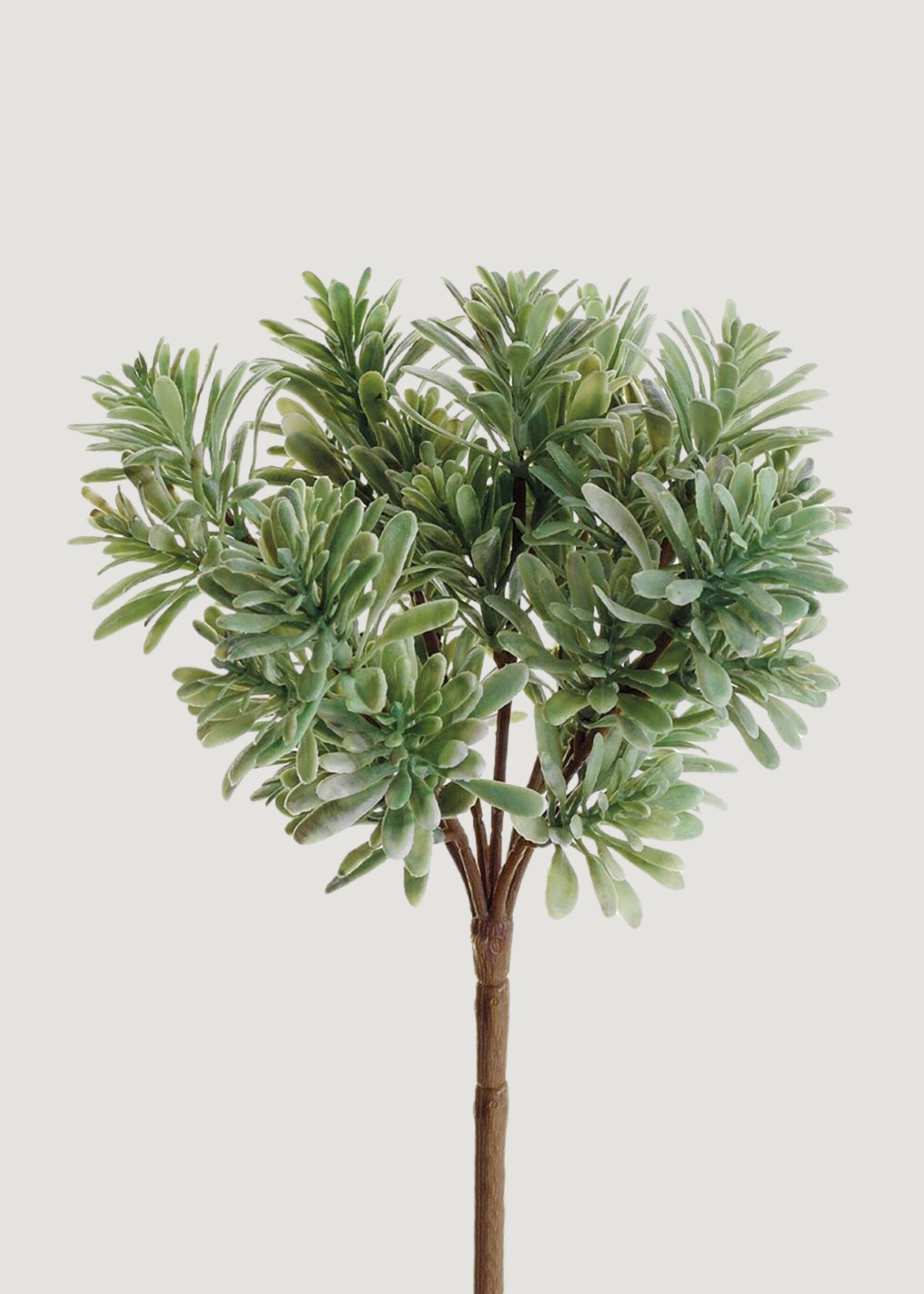 silk jade plant Artificial Jade Succulent Plant
