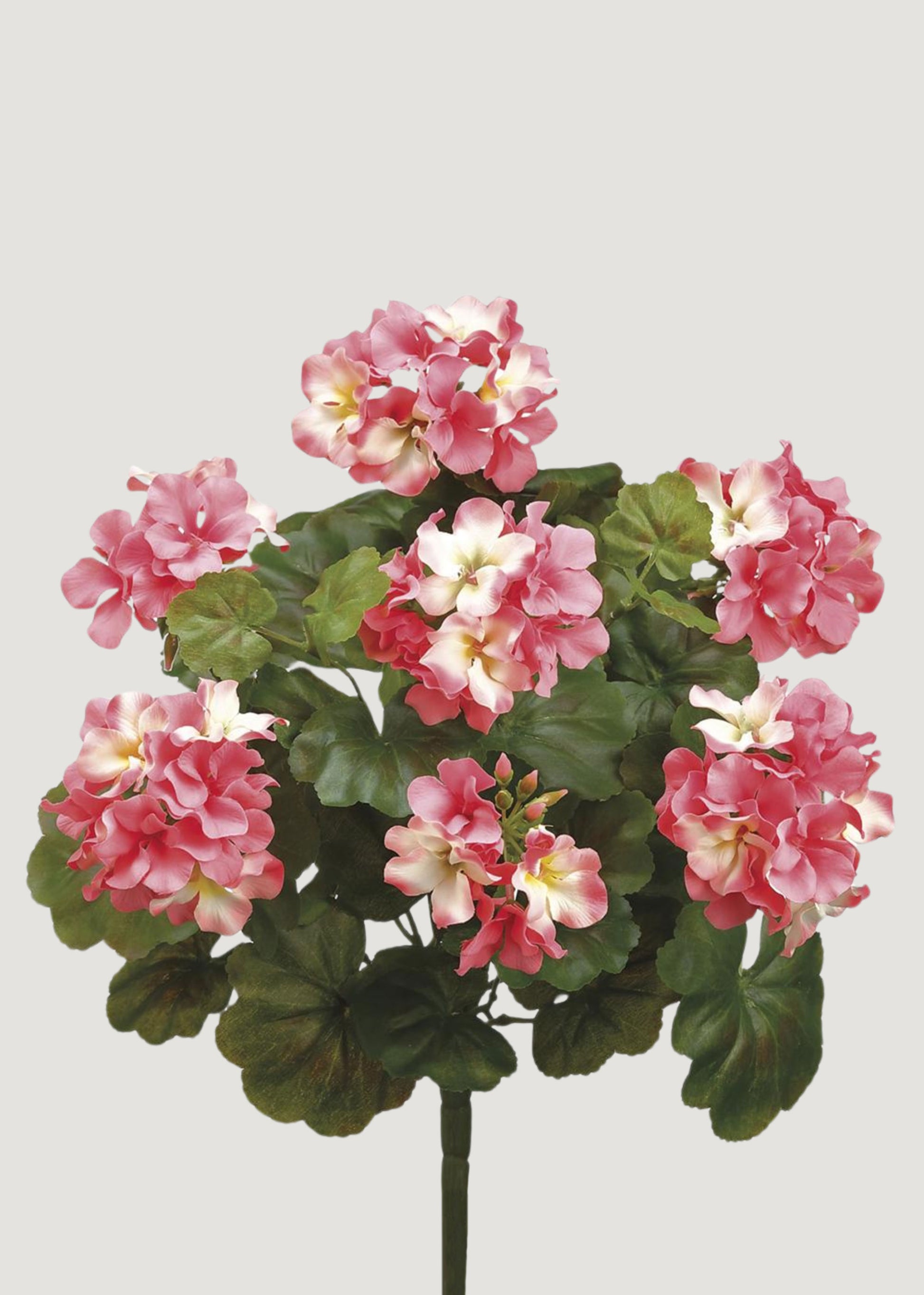 Fake Pink Geranium Bush