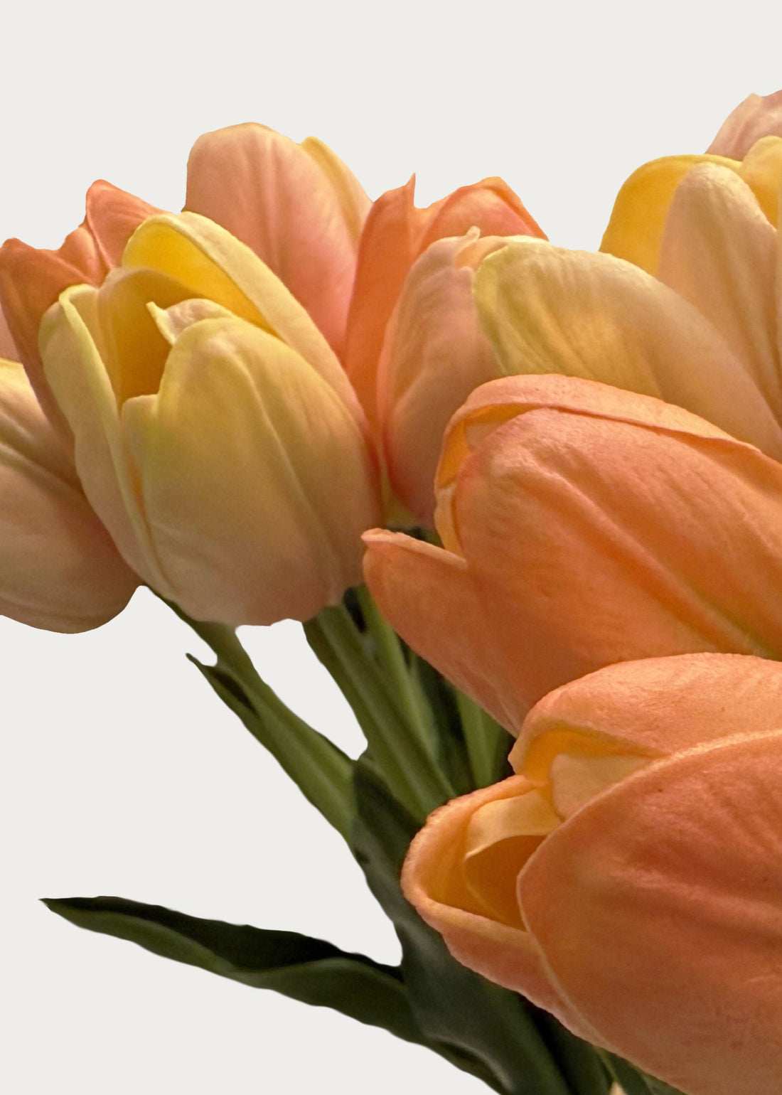 Real Touch Tulips in Yellow Pink Pastel