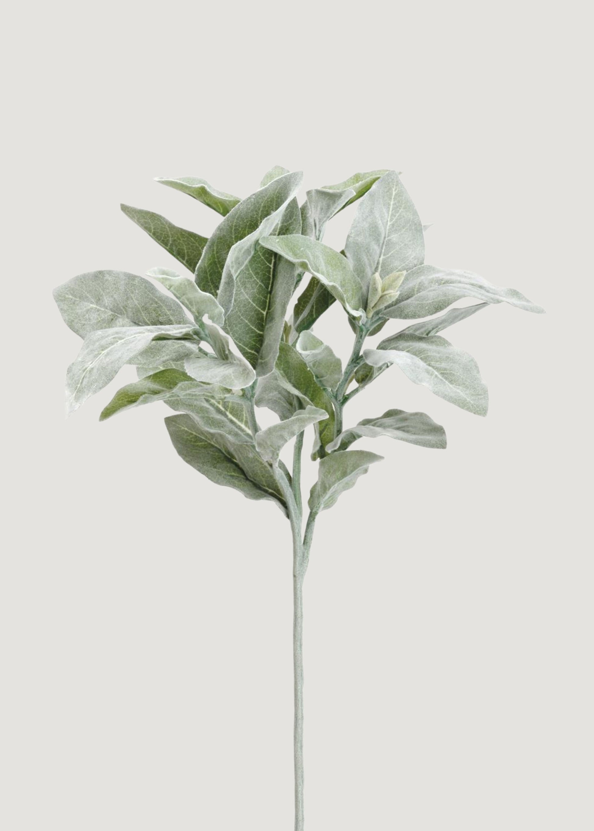 Faux Flocked Lamb's Ear Leaves