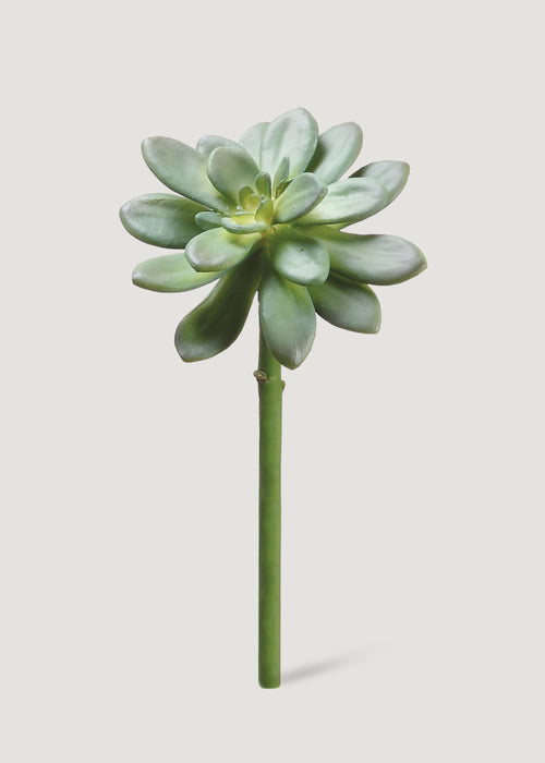 succulent light green 10" Echeveria Artificial Stem Pick -Green (Pack of 12)