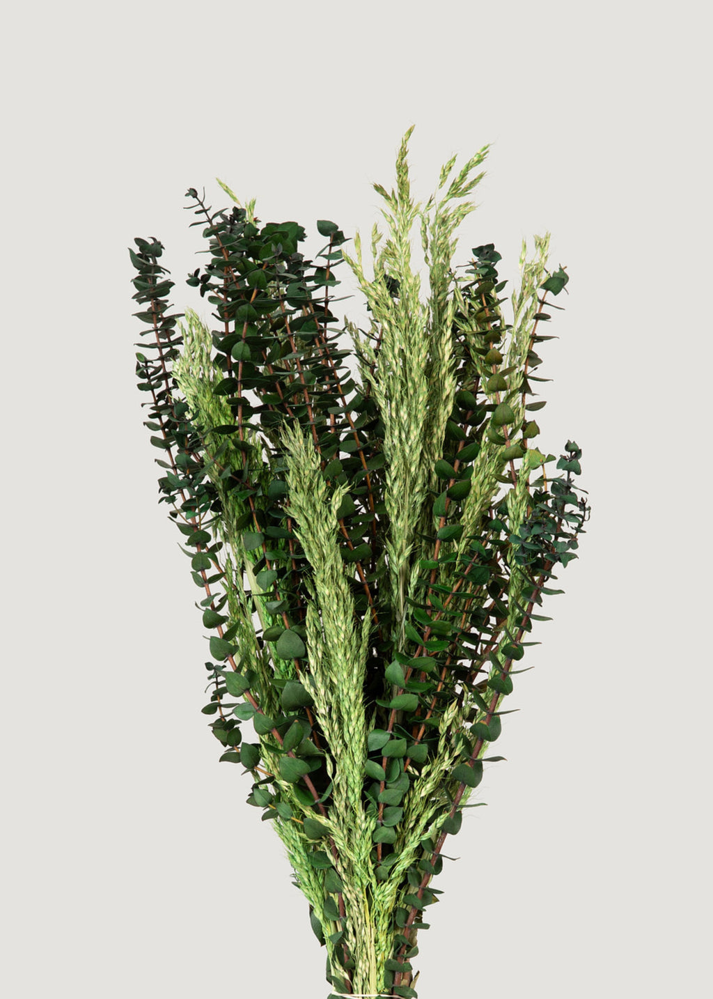 Preserved Grass and Eucalyptus 