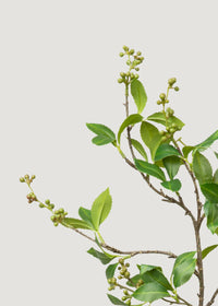 Green Chokeberry Artificial Berries Branch - 39"
