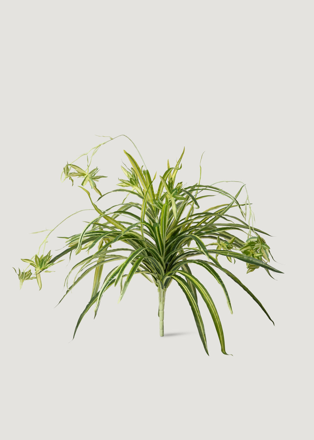 fake spider plants Regency International Foliage Greenery Real Touch Spider Plant 32"