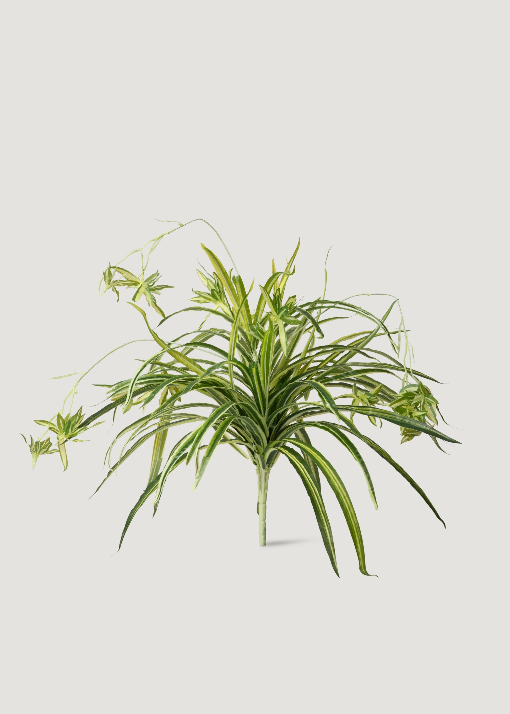 best fake house plants Natural Touch Spider Plant