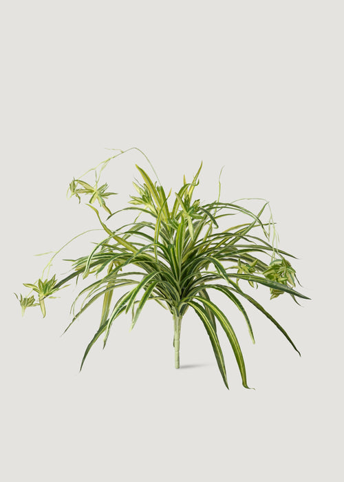 artificial spider plant Regency International Foliage Greenery Real Touch Spider Plant 32"