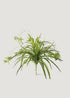 Natural Touch Fake Spider Plant 