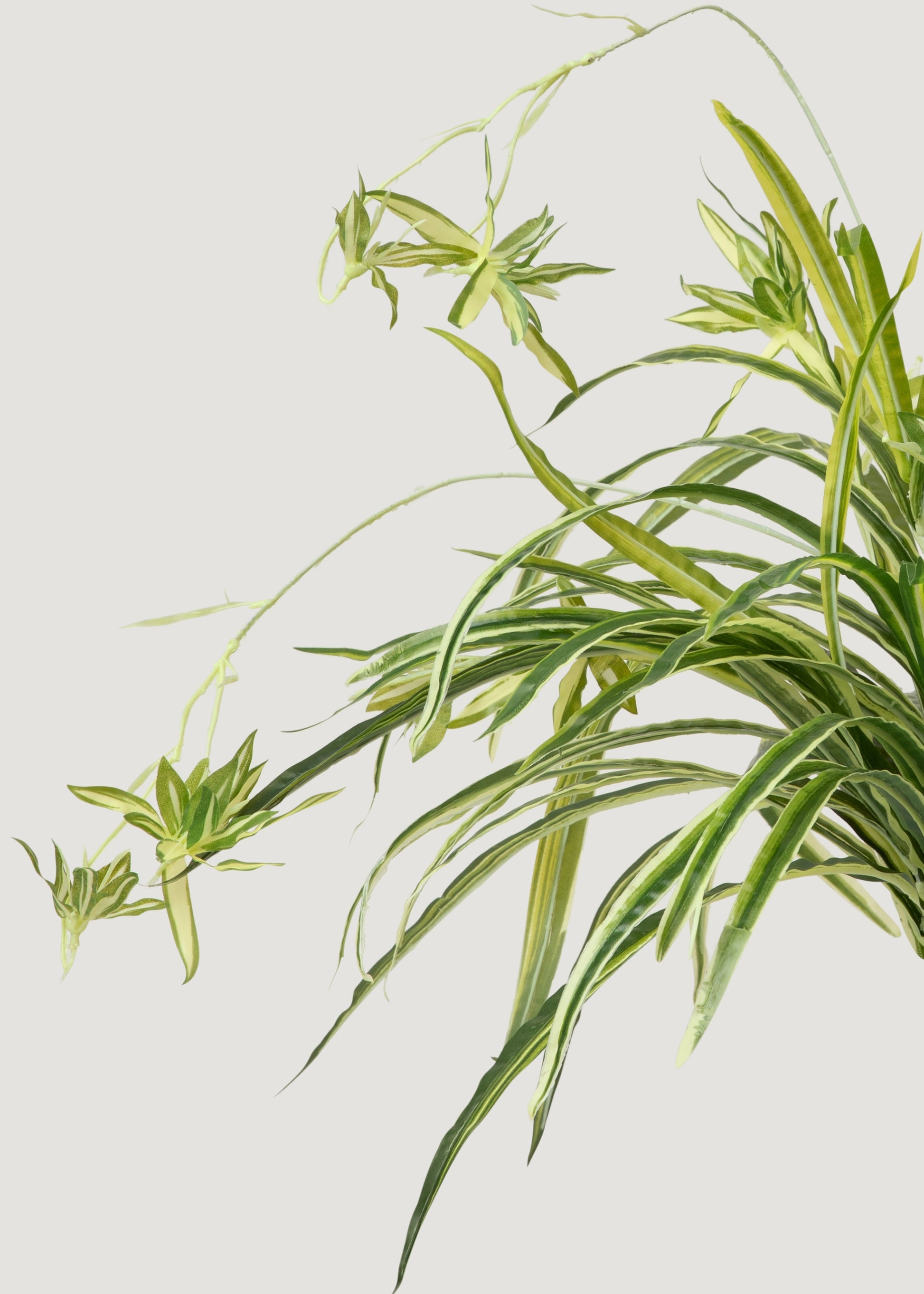 artificial spider plant in pot Regency International Foliage Greenery Real Touch Spider Plant 32"