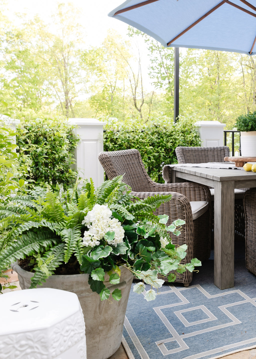 Artificial Outdoor Ferns on a patio
