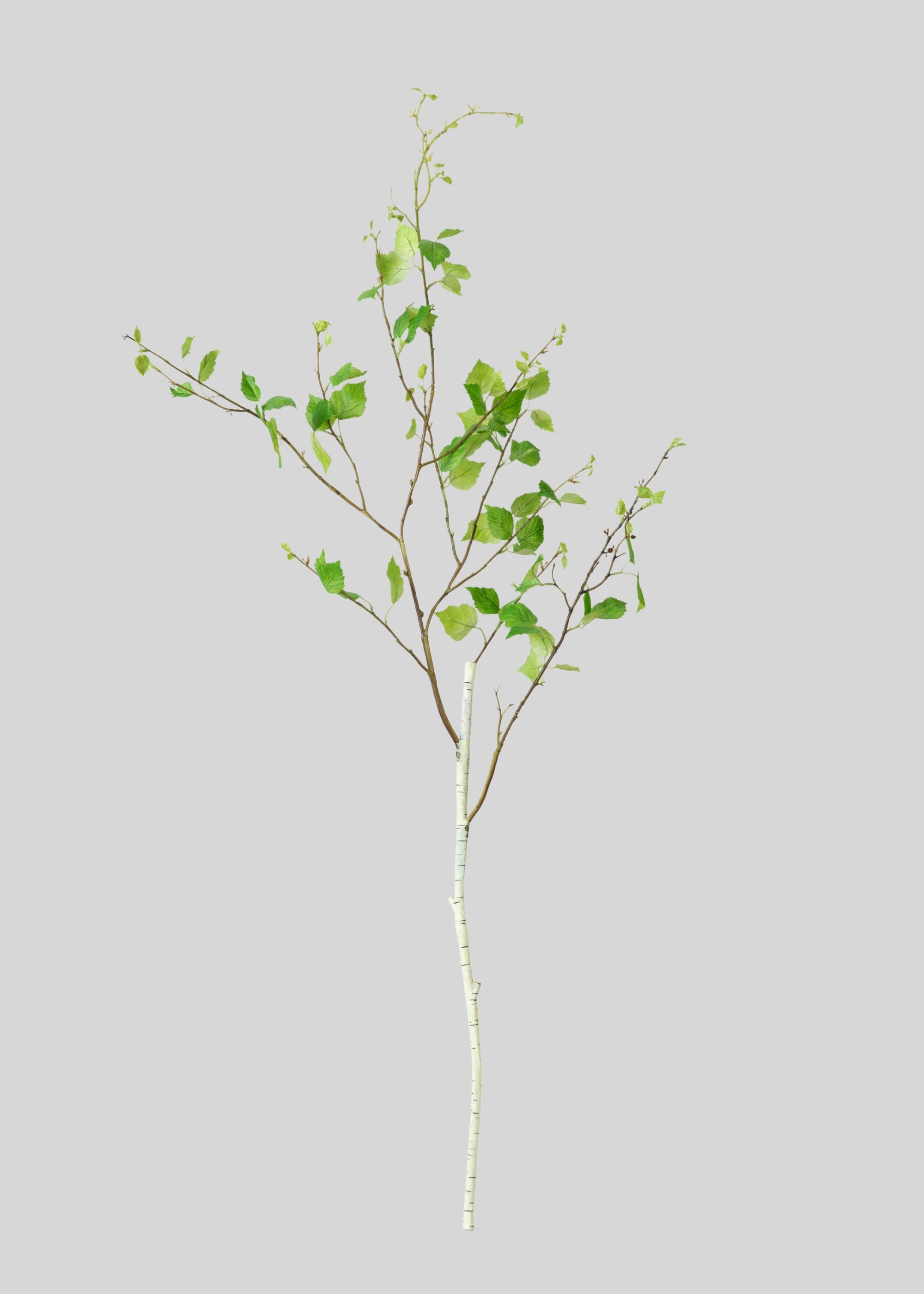 Artificial Birch Leaf Branch 
