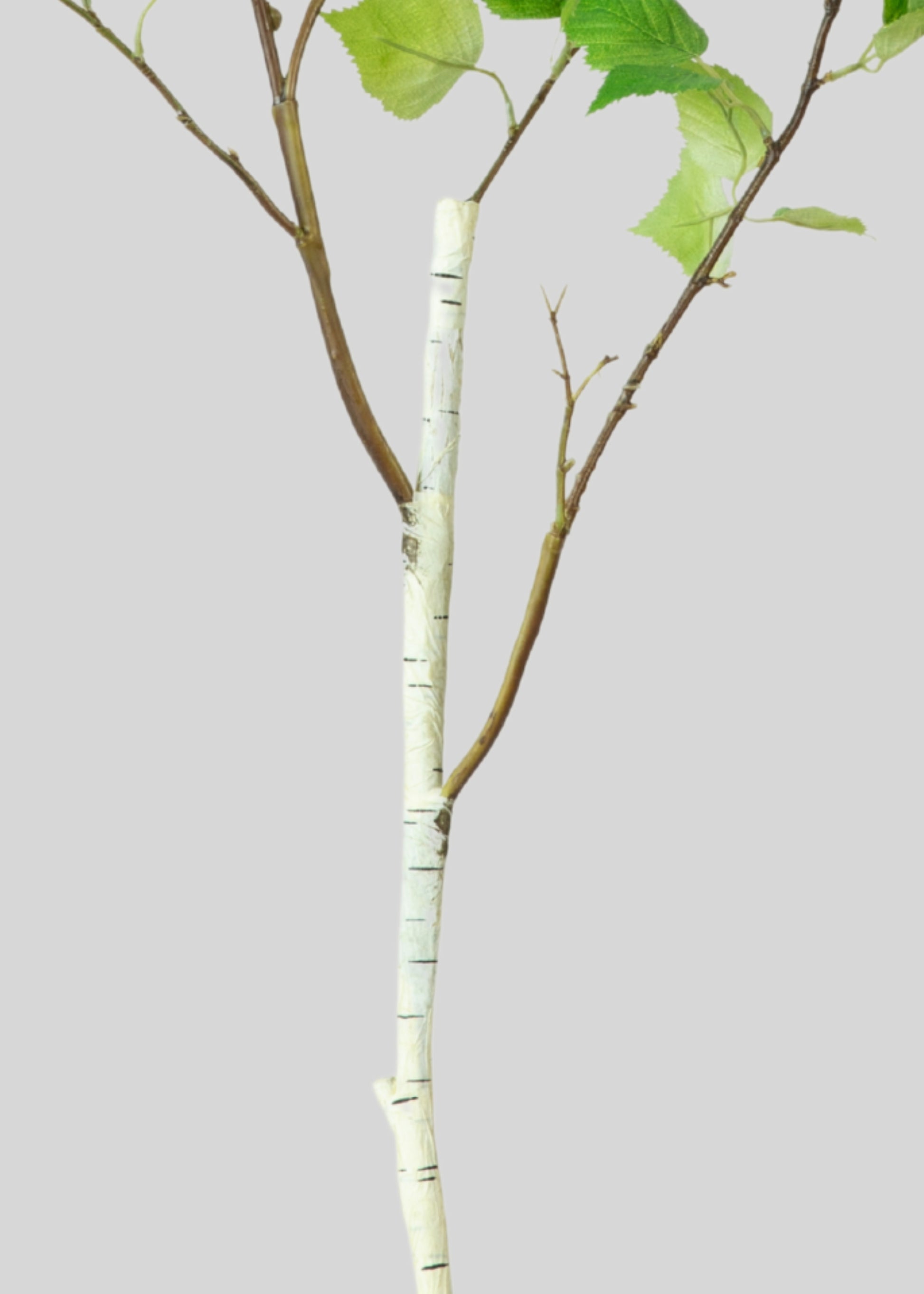 Fake Birch Branch 