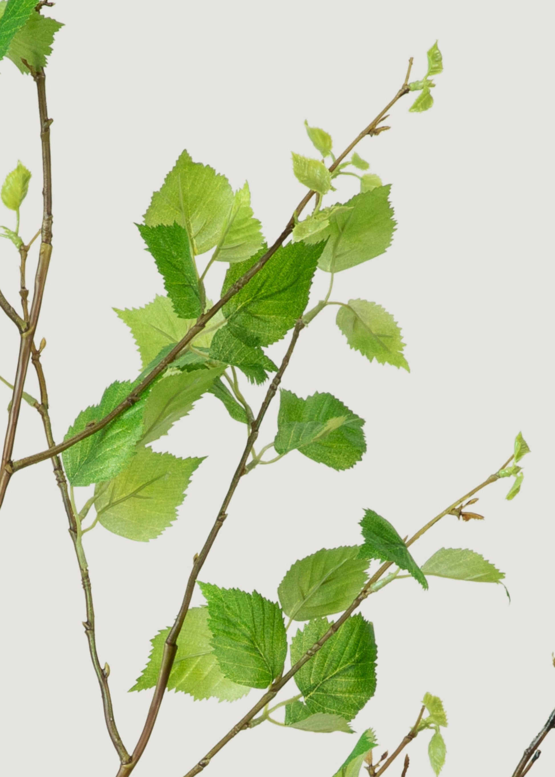 Artificial Birch Leaves