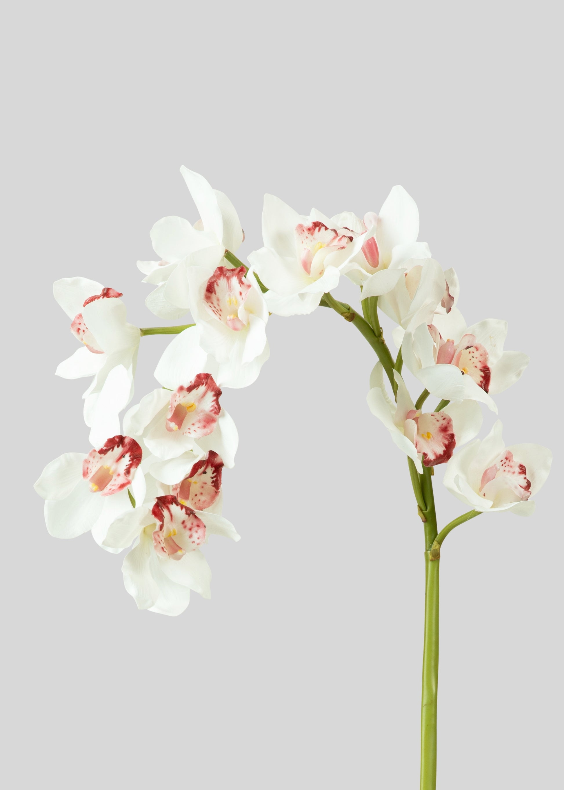 Real Touch White Cymbidium Orchid