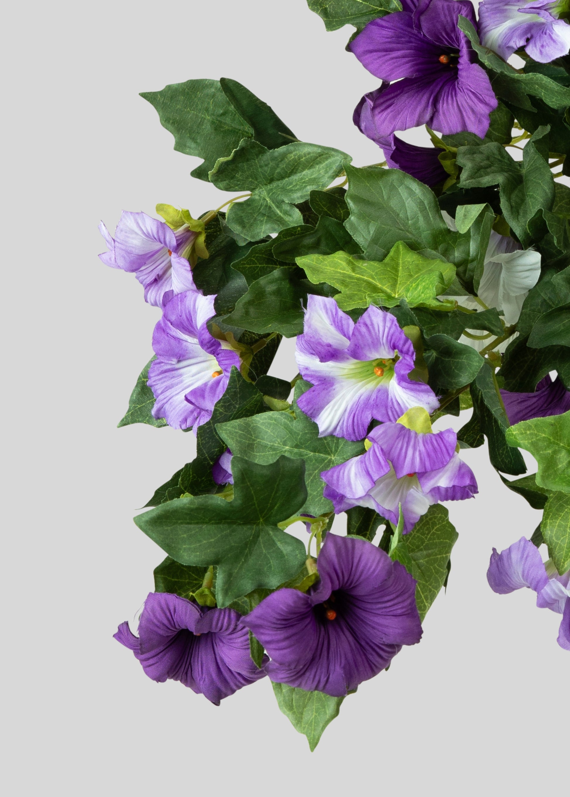 Purple Petunias