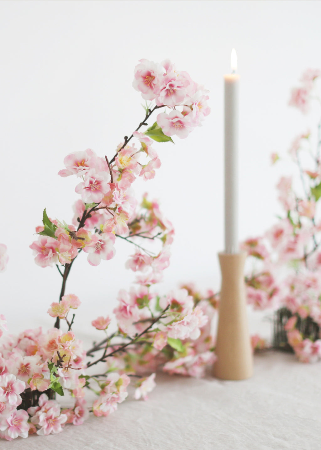 Pink Cherry Blossoms