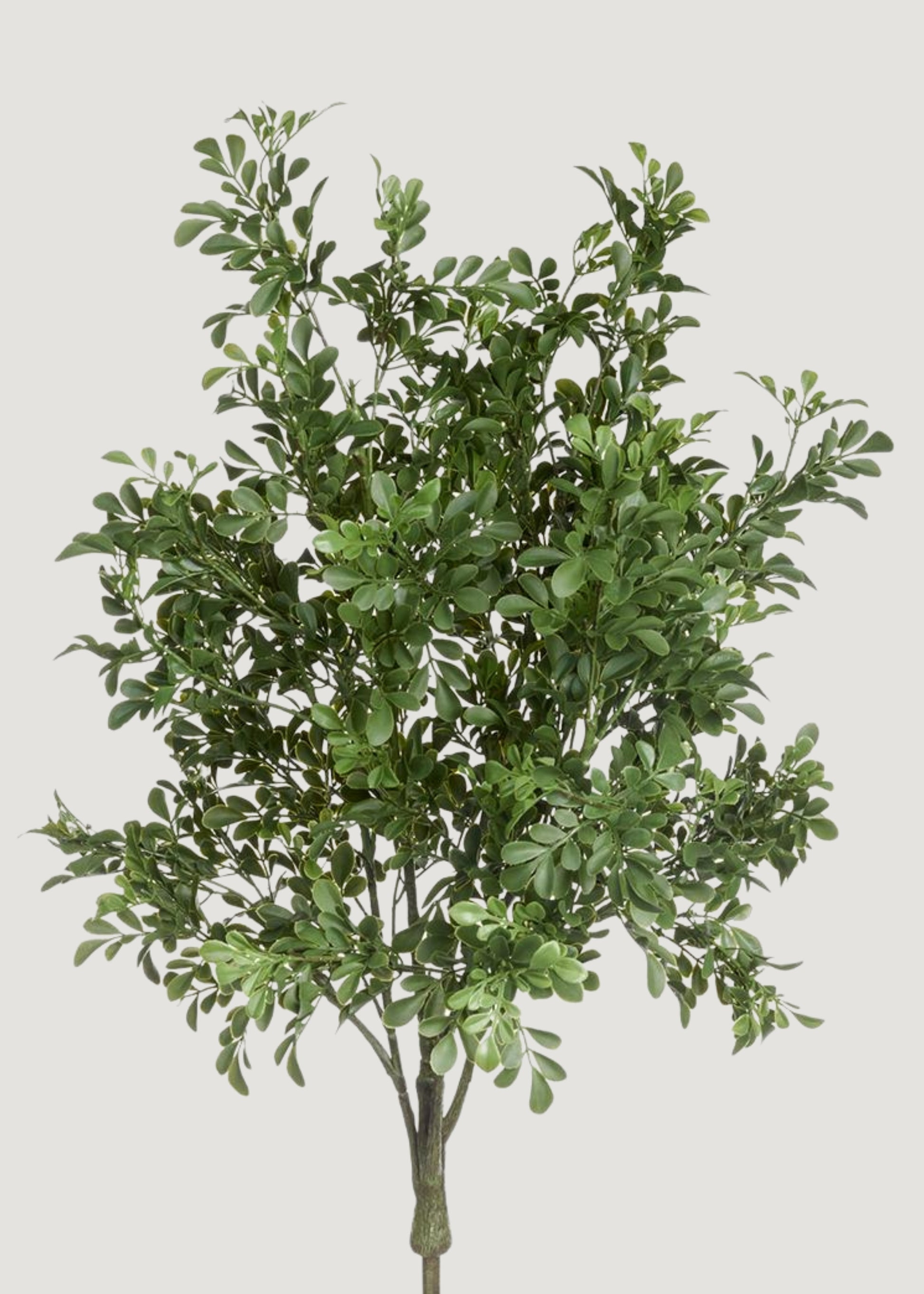 boxwood indoor plant UV Treated Indoor/Outdoor Fake Boxwood Plant